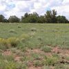 2.5 Acre Wooded Arizona Parcel on the Colorado Plateau