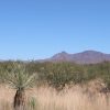 Great Southen Arizona Land Investment Cash Sale No Snow