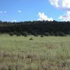 1 Ac of N. Arizona Investment Property near Chambers