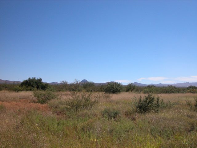 0.30 Acres in Southern AZ! BUILD. VIEWS. NR