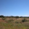 Great Southen Arizona Land Investment Cash Sale No Snow