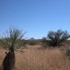 .34 Ac of Arizona Land near Douglas Near Development