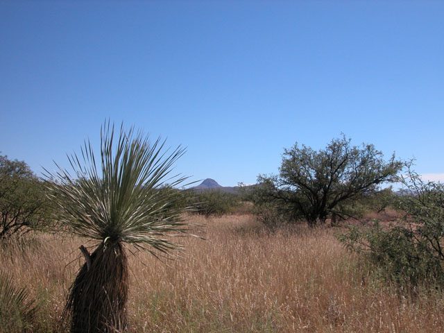 .34 Ac of Arizona Land near Douglas Near Development