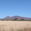 $99DOWN/$99MONTH-40 Acre Southern Arizona Parcel
