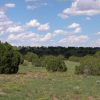 1.1 Acre Parcel in the White Mountains of Arizona