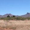 Great Southen Arizona Land Investment Cash Sale No Snow