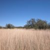 .22 Acre Arizona Parcel near Douglas Arizona