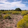 1.25  Ac. Northern Arizona Parcel in near Highway