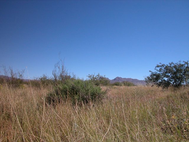 1.72 Acres in Southern Arizona short drive to Tucson