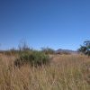.86 Acre Arizona Parcel near the Coronado Nat. Forest