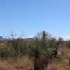 .22 Acres of Arizona Land with good access views