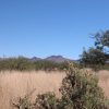 .15 Acre Arizona Parcel near Douglas Golf Club