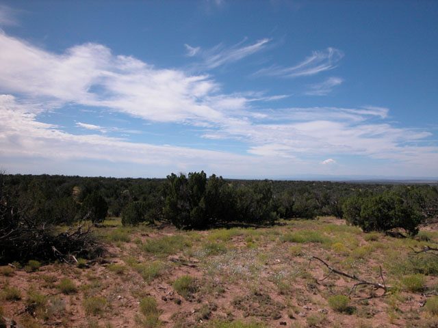 5 Acres of Arizona Land on the Colorado Plateau