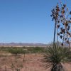Great Southen Arizona Land Investment Cash Sale No Snow