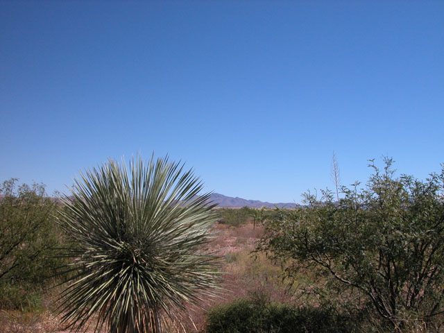 .5 Acre Southern Arizona Parcel near Arizona Sunsites