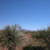 Great Southen Arizona Land Investment Cash Sale No Snow