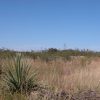 .25 Acre Arizona Parcel near the Coronado Nat. Forest