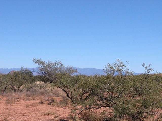 Great Southen Arizona Land Investment Cash Sale No Snow