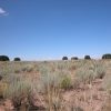 1 Acre Northern Arizona Parcel on the Colorado Plateau