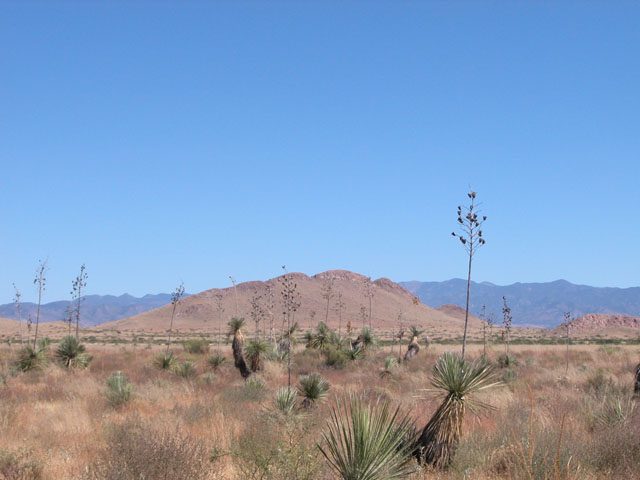 5 Acs of Arizona Investment Land near Arizona Sunsite
