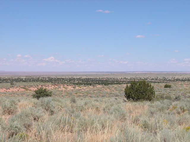 40 Acre Arizona Ranch on the Colorado Plateau Views