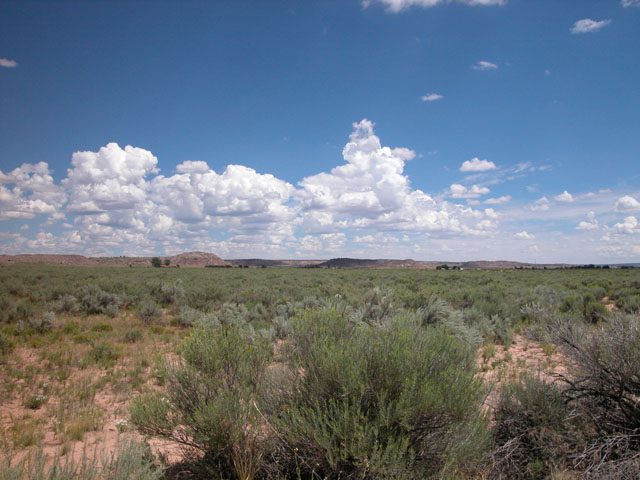 1 Acre of Arizona Land on the Colorado Plateau Views