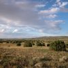 36.5 Ac Arizona Ranch in Apache County Near New Mexico