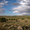 2.16 Acre Arizona Parcel close to White Mountains