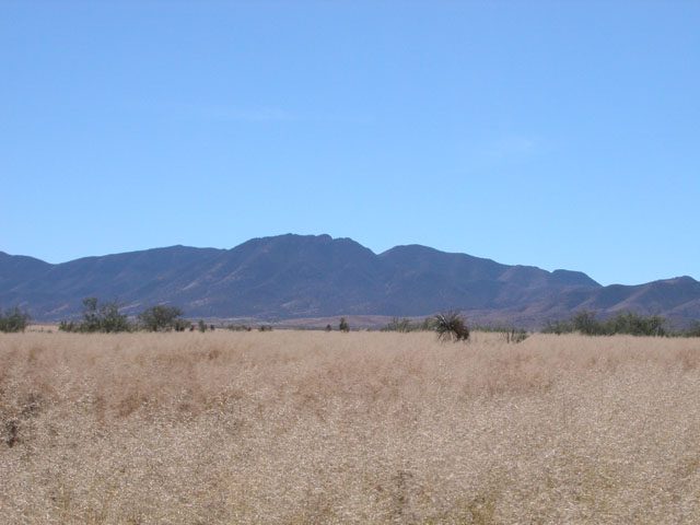 4.5 Acre Ranchette near Historic Bisbee Arizona