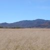 Great Southen Arizona Land Investment Cash Sale No Snow
