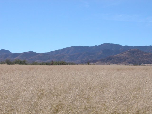 .29 Acres of Arizona Land with good access views