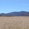 Great Southen Arizona Land Investment Cash Sale No Snow