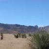 Great Southen Arizona Land Investment Cash Sale No Snow