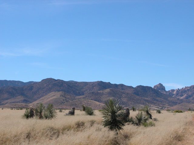.49 Ac Parcel in Cochise Arizona Short Drive to Tucson