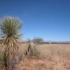 Great Southen Arizona Land Investment Cash Sale No Snow