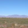 Great Southen Arizona Land Investment Cash Sale No Snow