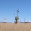 Great Southen Arizona Land Investment Cash Sale No Snow