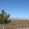 Great Southen Arizona Land Investment Cash Sale No Snow