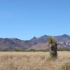 Great Southen Arizona Land Investment Cash Sale No Snow