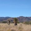 Great Southen Arizona Land Investment Cash Sale No Snow