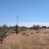 Great Southen Arizona Land Investment Cash Sale No Snow