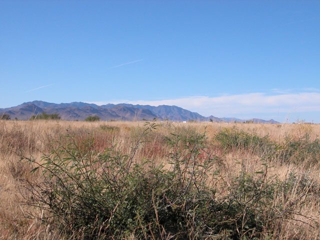 0.88 ac of Prime AZ Land. Buildable Lot not far from W