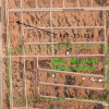 AZ Rural land for sale