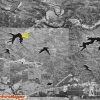 Arkansas Rural land for sale