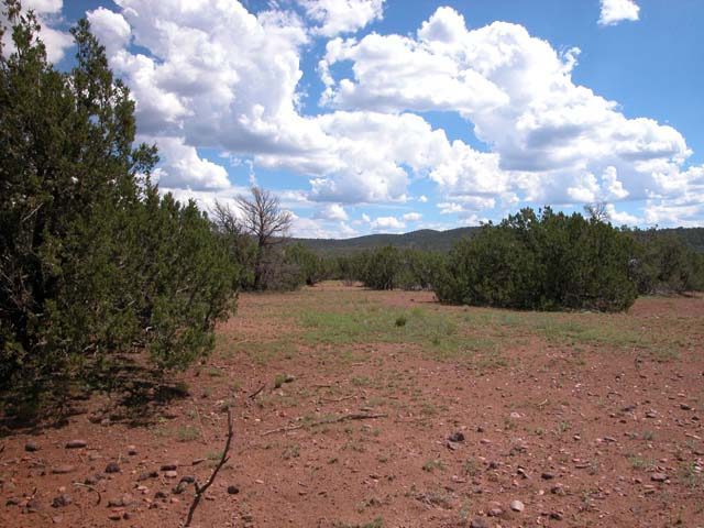 1.16 Acre Parcel in the White Mountains of Arizona