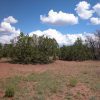 1.33 Acre Parcel in the White Mountains of Arizona