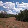 1.36 Acre Parcel in the White Mountains of Arizona
