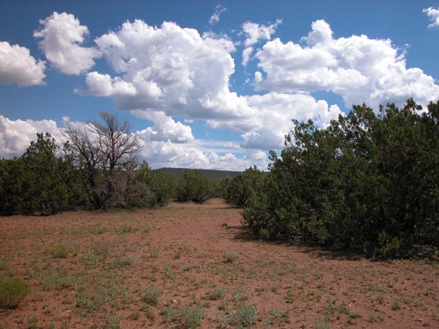 1.36 Acre Parcel in the White Mountains of Arizona