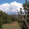 1.02 Acre Parcel on the Colorado Plateau