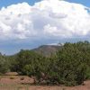 1 Acre Parcel in the White Mountains of Arizona